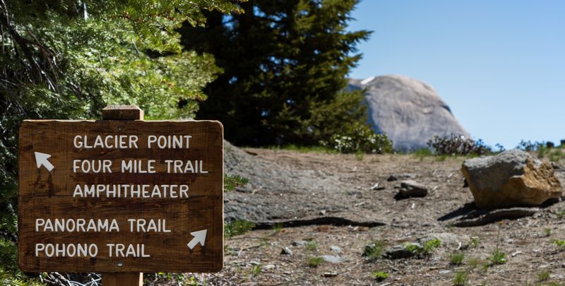 Yosemite 2017 - Blogs de USA - Día 4: Yosemite: Panorama Trail (8)