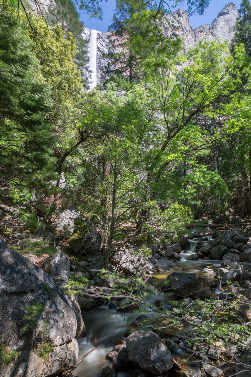 Yosemite 2017 - Blogs de USA - Día 7: Yosemite: Columbia Rock, Upper Falls, Bridalveil Fall y Artist Point (20)