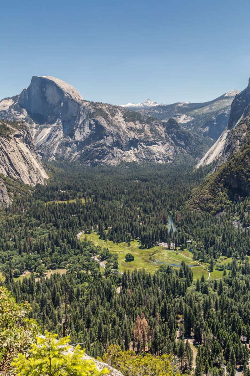 Yosemite 2017 - Blogs de USA - Día 7: Yosemite: Columbia Rock, Upper Falls, Bridalveil Fall y Artist Point (16)