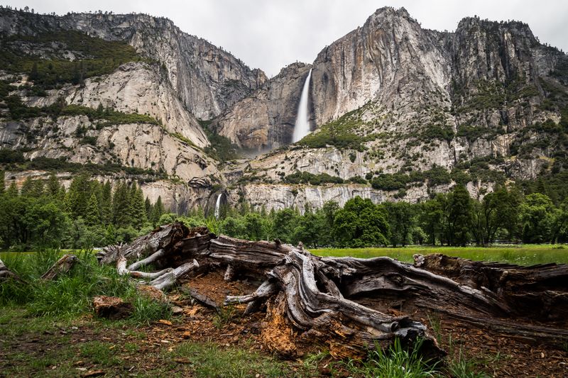 Yosemite 2017 - Blogs de USA - Día 3: Yosemite: Cook Meadow's Loop, Lower Falls, Mirror Lake y Tunnel View (9)