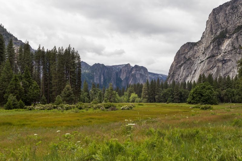 Yosemite 2017 - Blogs de USA - Día 3: Yosemite: Cook Meadow's Loop, Lower Falls, Mirror Lake y Tunnel View (6)