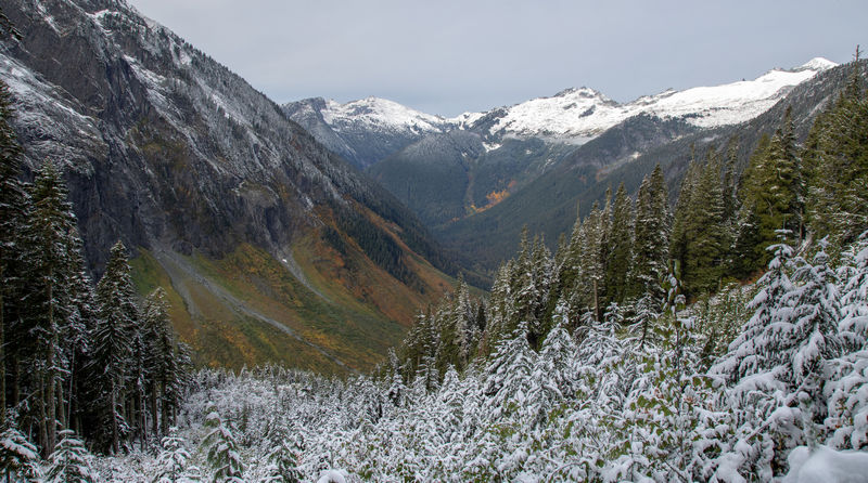 Diario de un pseudofiasco: Noroeste de EEUU en otoño 2018 - Blogs de USA - Día 6: Las nieves de Cascade Pass (10)