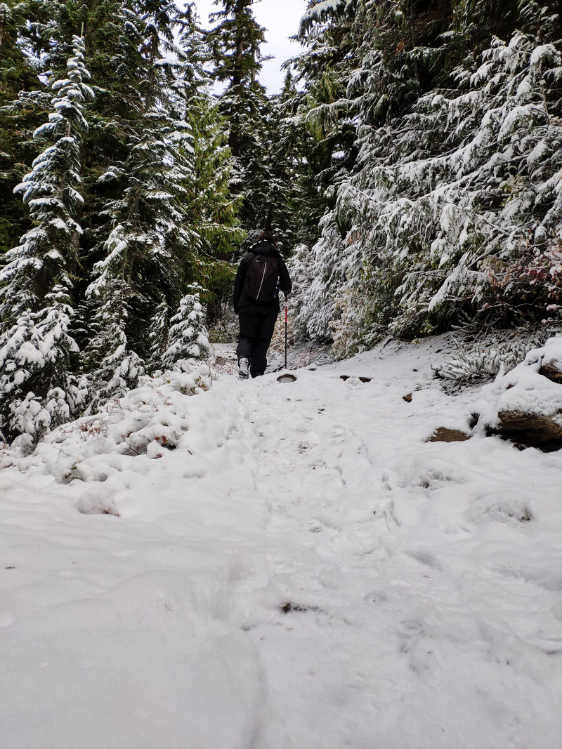 Diario de un pseudofiasco: Noroeste de EEUU en otoño 2018 - Blogs de USA - Día 6: Las nieves de Cascade Pass (11)