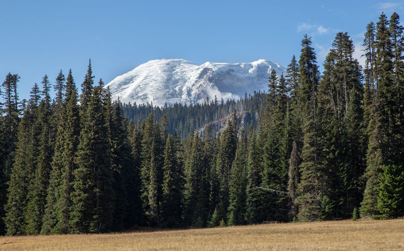 Diario de un pseudofiasco: Noroeste de EEUU en otoño 2018 - Blogs de USA - Día 7: Desde el Grand Park, un Gran Mount Rainier (11)