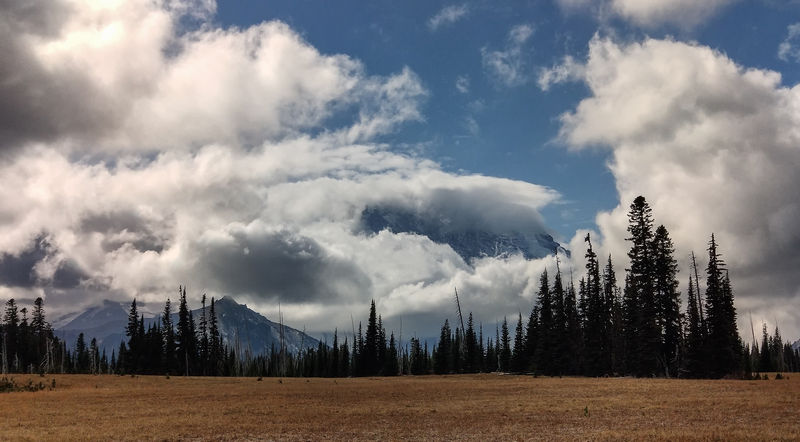 Diario de un pseudofiasco: Noroeste de EEUU en otoño 2018 - Blogs de USA - Día 7: Desde el Grand Park, un Gran Mount Rainier (20)