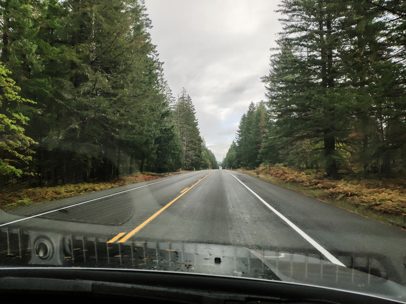 Diario de un pseudofiasco: Noroeste de EEUU en otoño 2018 - Blogs de USA - Día 9: Atrapados en un Visitor Center (2)