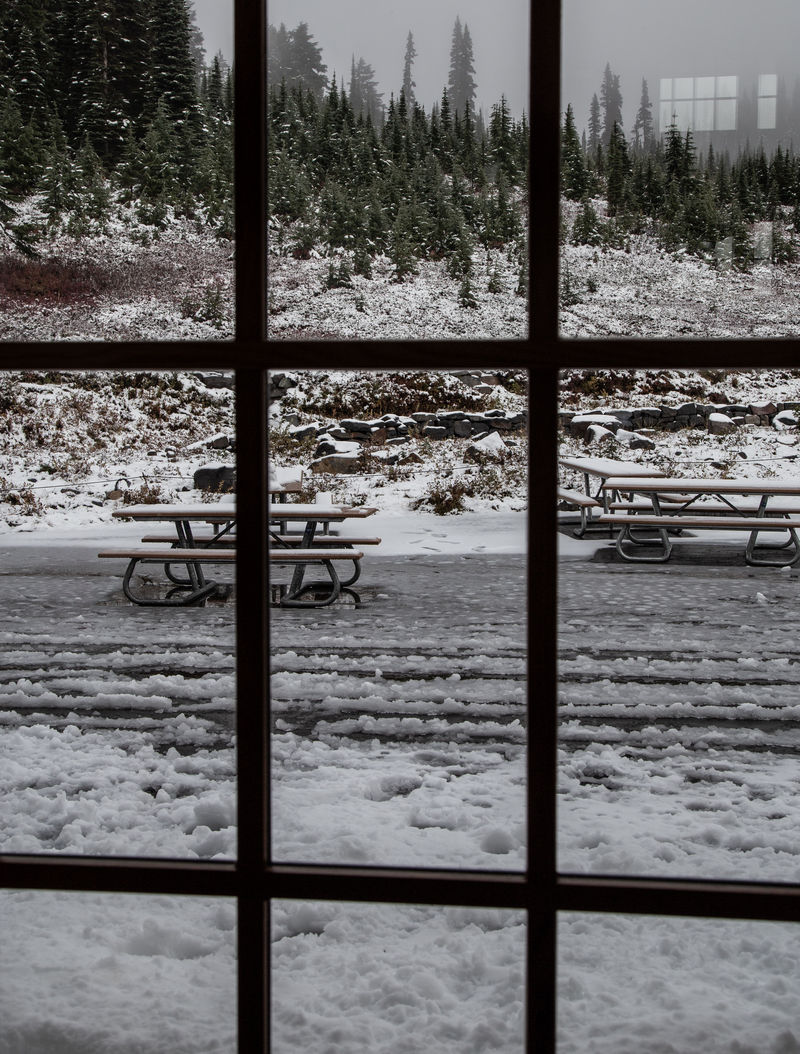 Diario de un pseudofiasco: Noroeste de EEUU en otoño 2018 - Blogs de USA - Día 9: Atrapados en un Visitor Center (5)