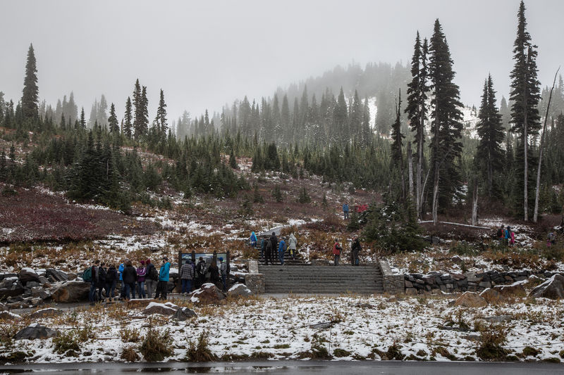 Diario de un pseudofiasco: Noroeste de EEUU en otoño 2018 - Blogs de USA - Día 9: Atrapados en un Visitor Center (10)