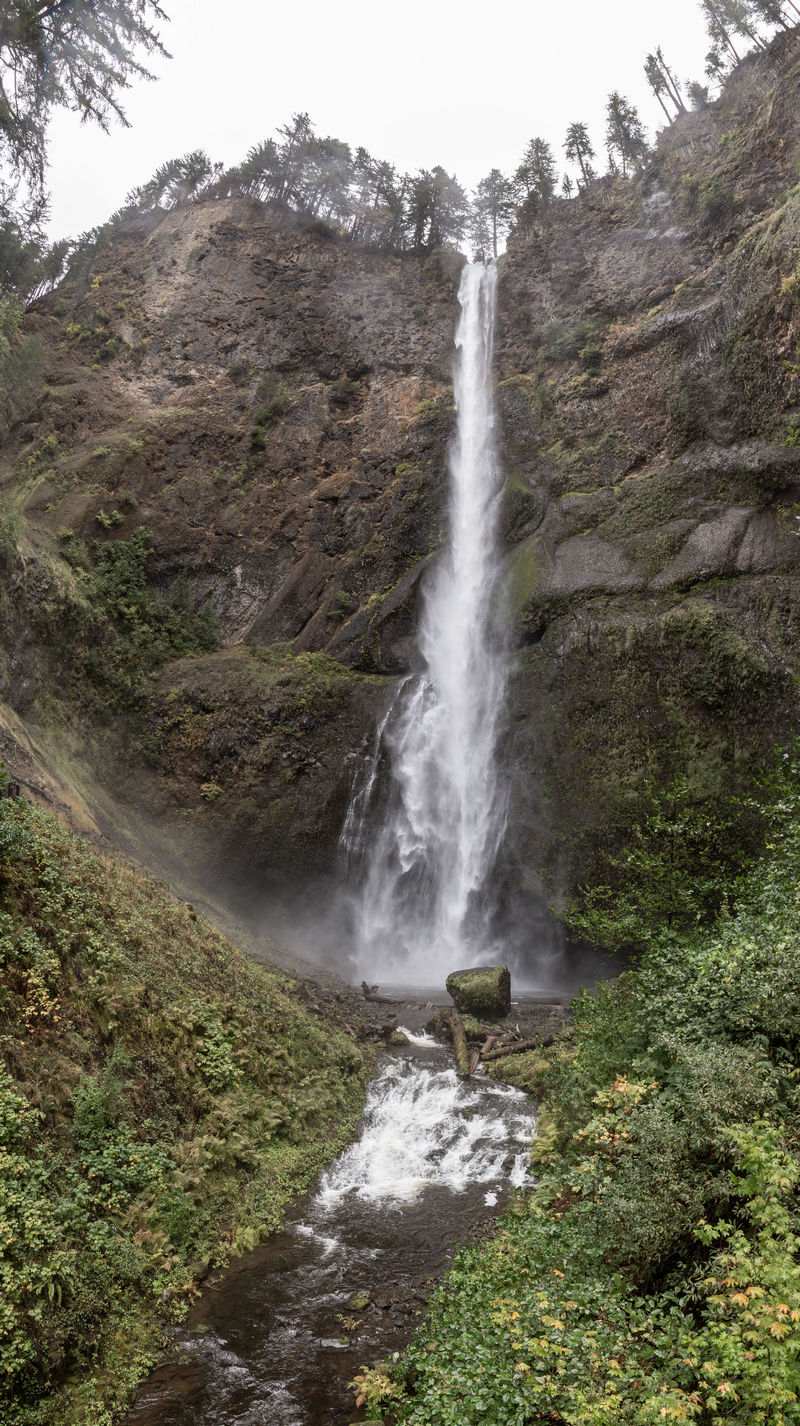 Diario de un pseudofiasco: Noroeste de EEUU en otoño 2018 - Blogs de USA - Día 12: La Gaga y las Multnomah Falls (16)