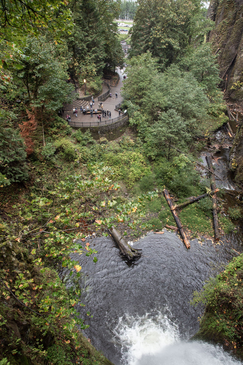 Diario de un pseudofiasco: Noroeste de EEUU en otoño 2018 - Blogs de USA - Día 12: La Gaga y las Multnomah Falls (17)