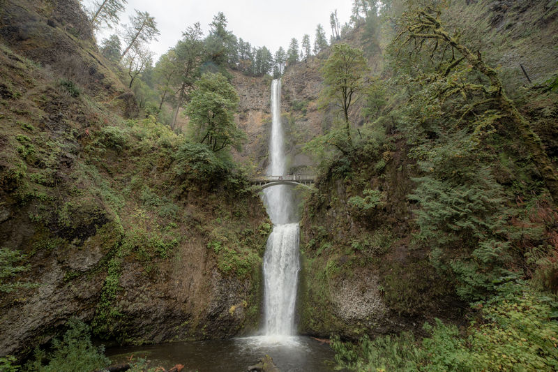 Diario de un pseudofiasco: Noroeste de EEUU en otoño 2018 - Blogs de USA - Día 12: La Gaga y las Multnomah Falls (14)