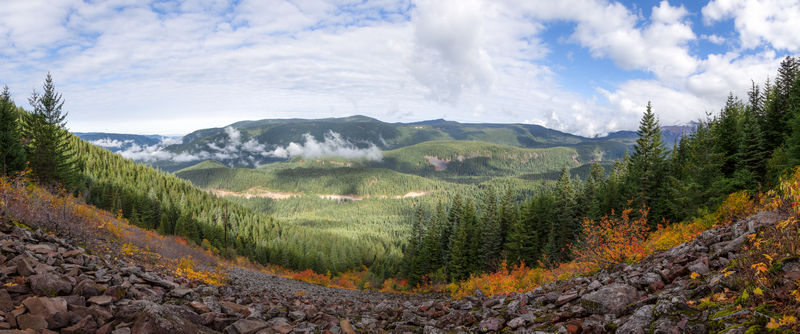 Diario de un pseudofiasco: Noroeste de EEUU en otoño 2018 - Blogs de USA - Día 13: Sí, ese es Mount Hood (6)
