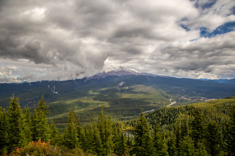 Diario de un pseudofiasco: Noroeste de EEUU en otoño 2018 - Blogs de USA - Día 13: Sí, ese es Mount Hood (9)