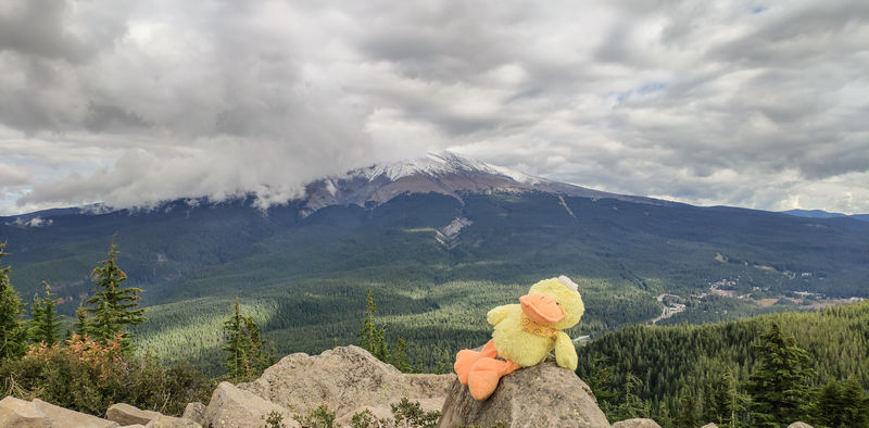Diario de un pseudofiasco: Noroeste de EEUU en otoño 2018 - Blogs de USA - Día 13: Sí, ese es Mount Hood (11)