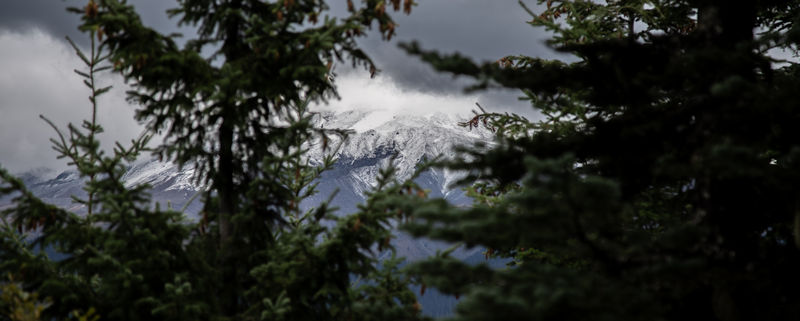 Diario de un pseudofiasco: Noroeste de EEUU en otoño 2018 - Blogs de USA - Día 13: Sí, ese es Mount Hood (14)