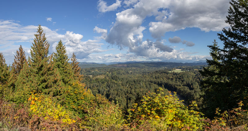 Diario de un pseudofiasco: Noroeste de EEUU en otoño 2018 - Blogs de USA - Día 13: Sí, ese es Mount Hood (18)