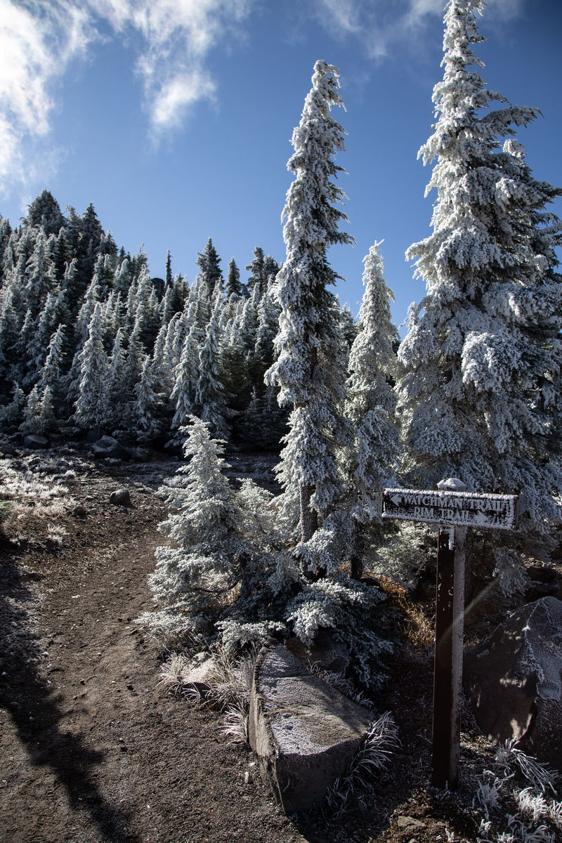 Día 14: Crater Lake y Mount Shasta - Diario de un pseudofiasco: Noroeste de EEUU en otoño 2018 (6)
