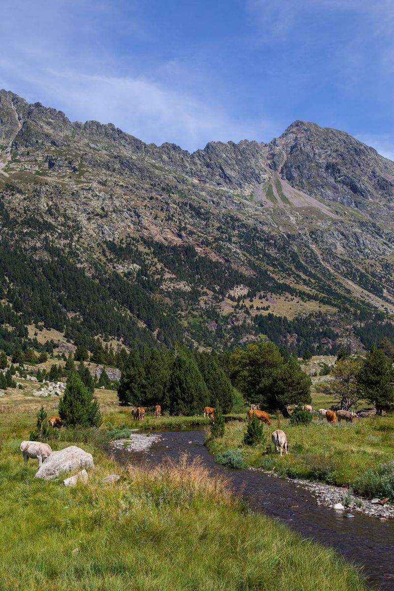 Pirineos 2018 - Blogs de Europa Sur - Día 1: Ibones de Villamuerta (3)