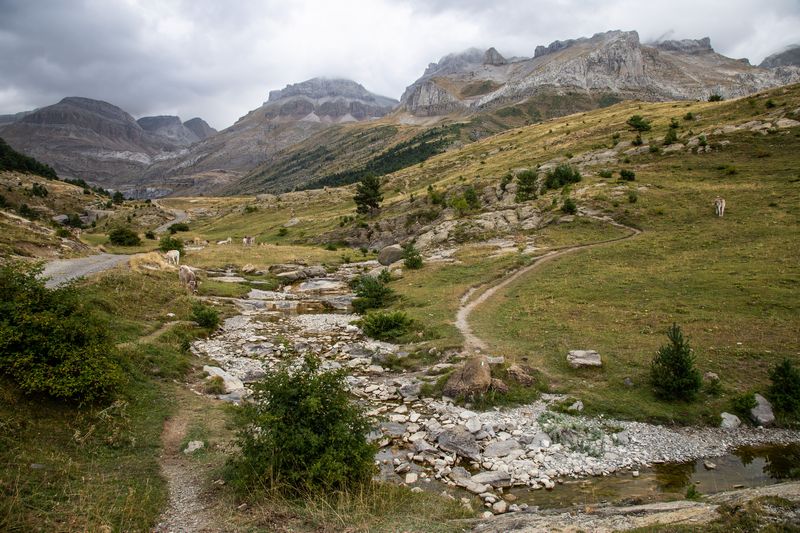 Pirineos 2018 - Blogs de Europa Sur - Día 4: Miradores de Ordesa y Barranco de Igüer (24)