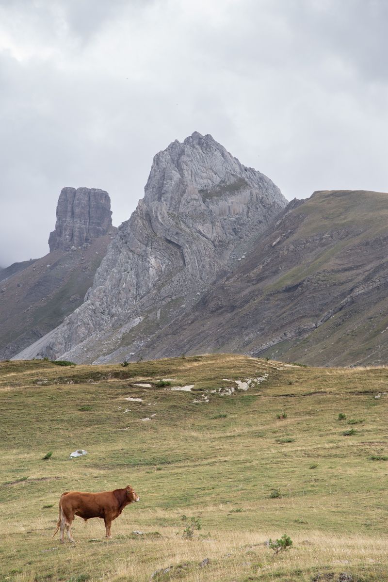 Pirineos 2018 - Blogs de Europa Sur - Día 4: Miradores de Ordesa y Barranco de Igüer (27)