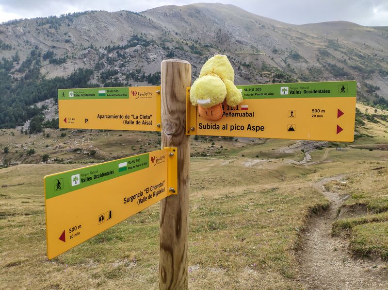 Pirineos 2018 - Blogs de Europa Sur - Día 4: Miradores de Ordesa y Barranco de Igüer (29)