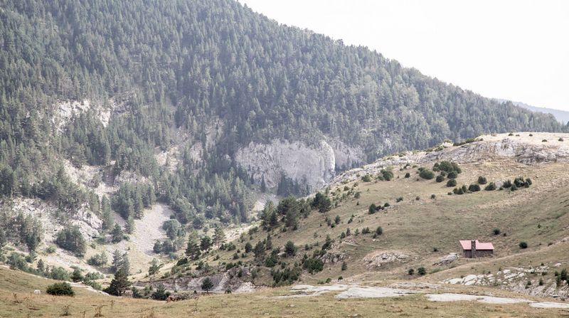 Pirineos 2018 - Blogs de Europa Sur - Día 4: Miradores de Ordesa y Barranco de Igüer (30)