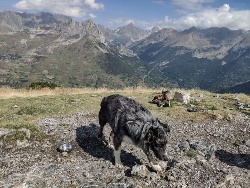 Pirineos 2018 - Blogs de Europa Sur - Día 7: En lo alto del Pico Pacino (22)