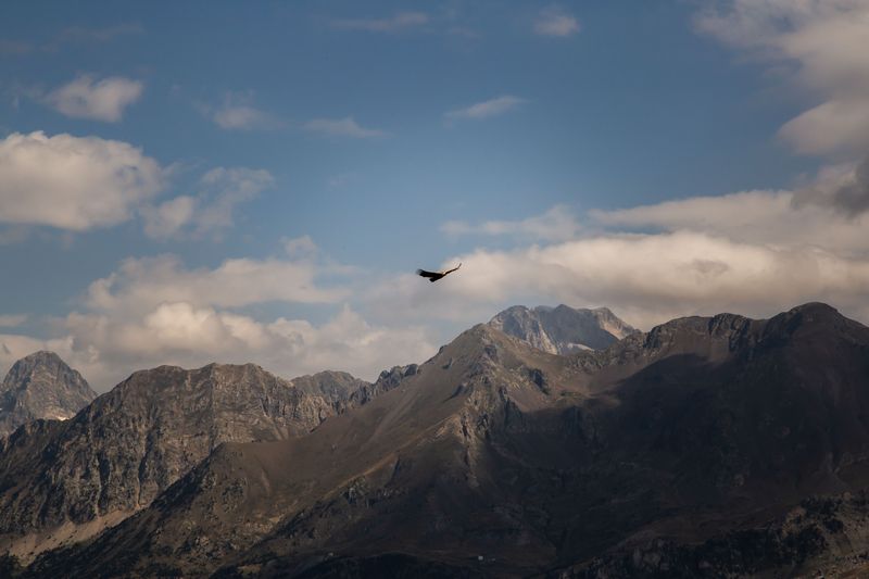 Pirineos 2018 - Blogs de Europa Sur - Día 7: En lo alto del Pico Pacino (20)