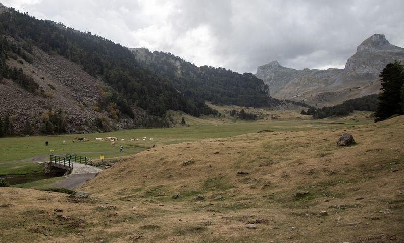 Día 8: Urgencias médicas y Lacs d'Ayous nublados - Pirineos 2018 (14)