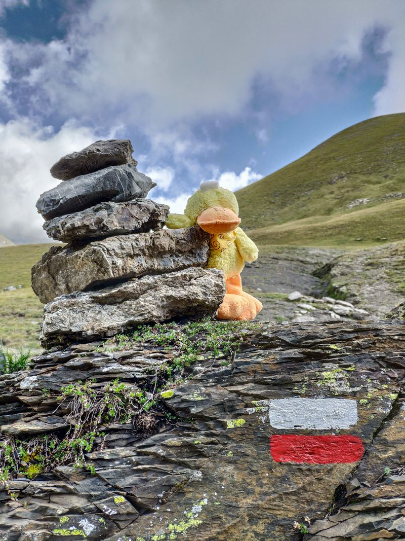 Día 13: Mirador de Comodoto - Pirineos 2018 (20)
