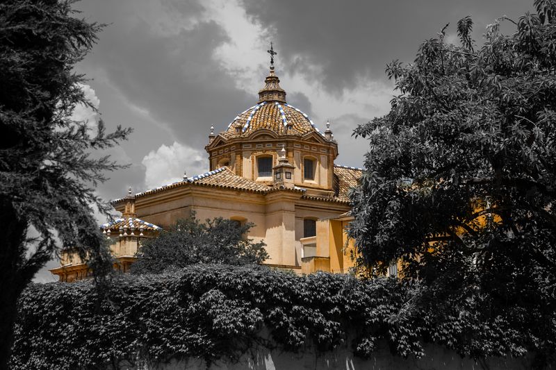 Escapada a Sevilla - Blogs de España - Día 1: Aterrizando en el Monasterio de la Cartuja (10)