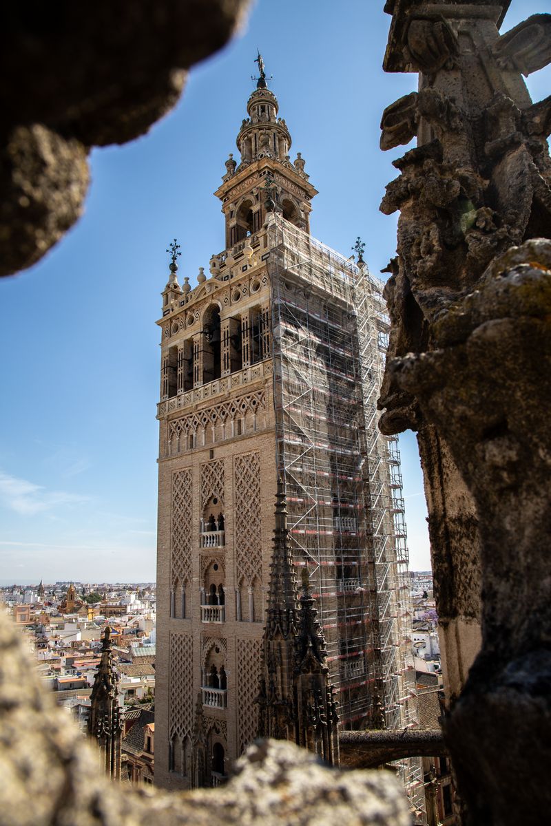 Día 2: Terrazas de la Catedral, subida a la Giralda y Plaza de España. - Escapada a Sevilla (24)