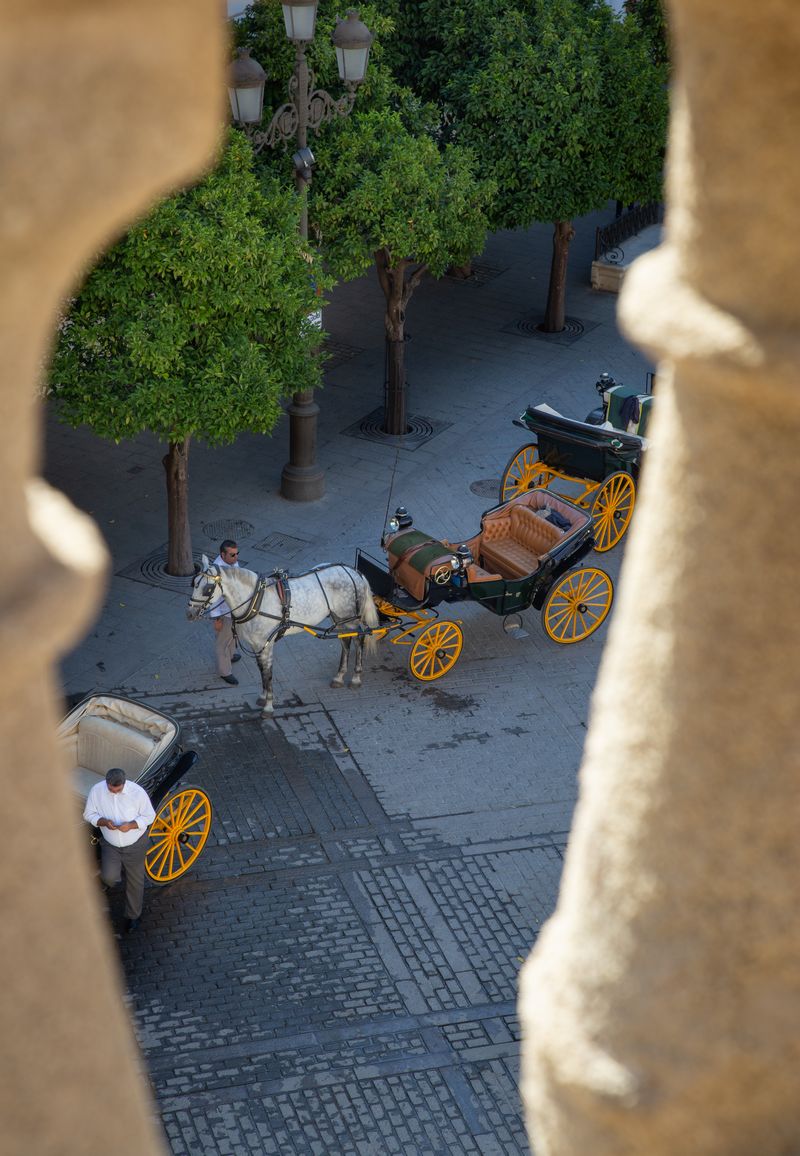 Día 2: Terrazas de la Catedral, subida a la Giralda y Plaza de España. - Escapada a Sevilla (16)