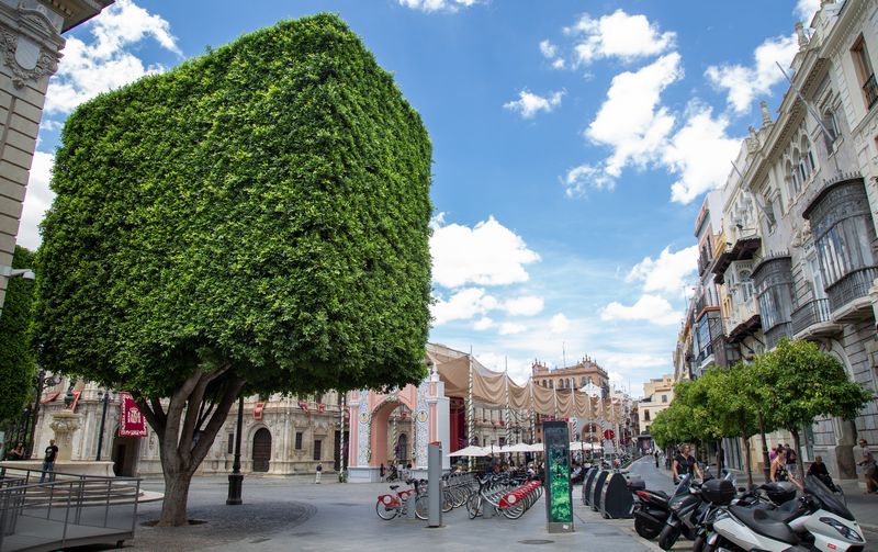 Día 2: Terrazas de la Catedral, subida a la Giralda y Plaza de España. - Escapada a Sevilla (40)