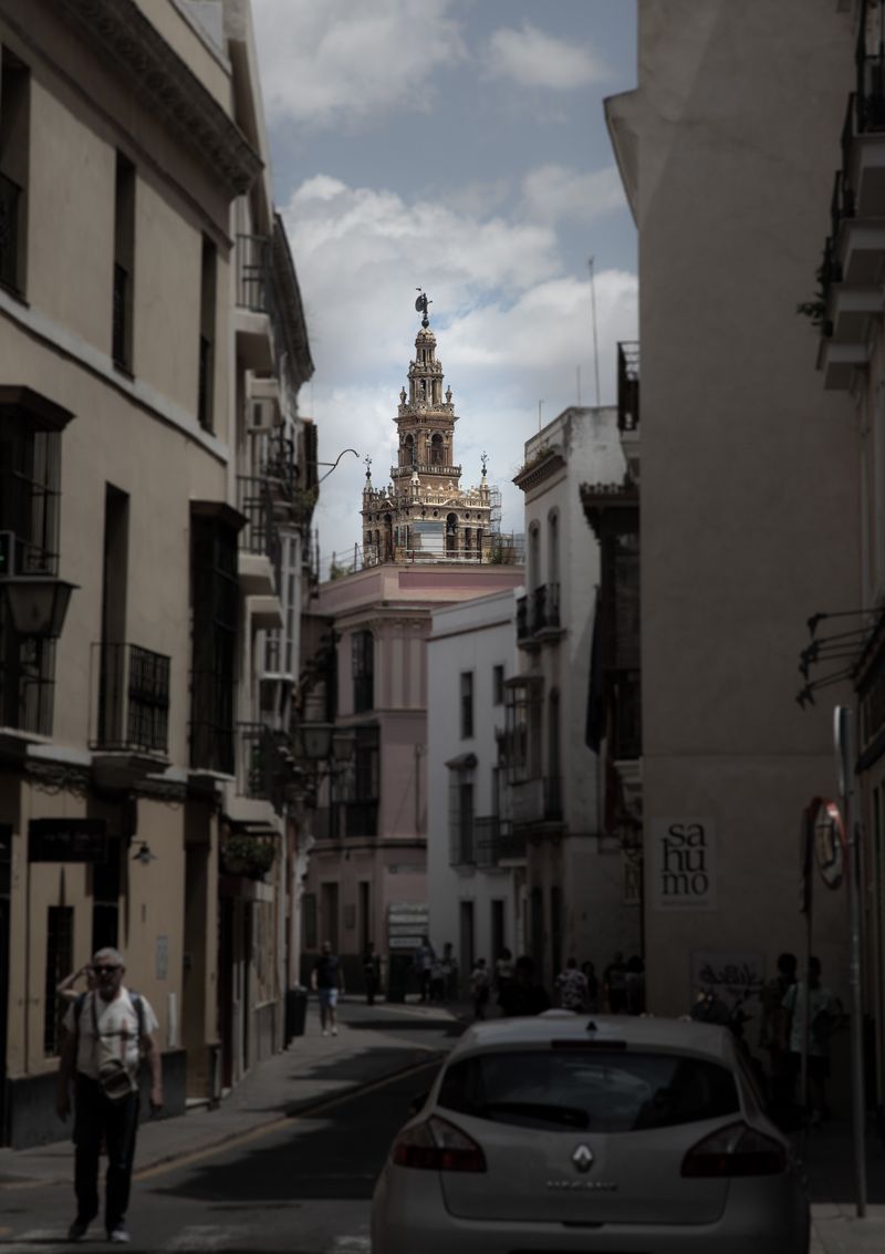 Escapada a Sevilla - Blogs de España - Día 1: Aterrizando en el Monasterio de la Cartuja (19)