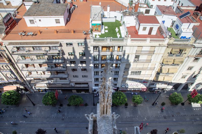 Día 2: Terrazas de la Catedral, subida a la Giralda y Plaza de España. - Escapada a Sevilla (27)