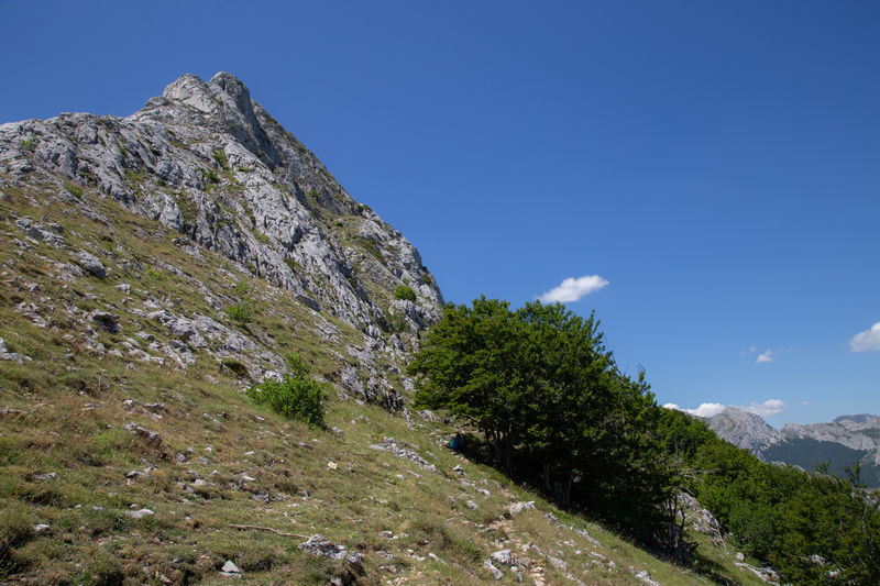 Picos de Europa 2019 - Blogs de España - Día 5: Collado del Pico Gilbo (14)