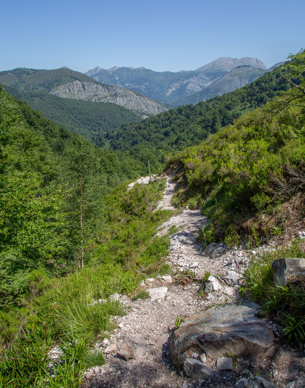Picos de Europa 2019 - Blogs de España - Día 6: Cascada del Tabayón (10)