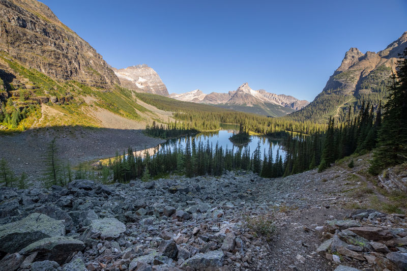 Volvemos a las Rockies 2019 - Blogs de Canada - Día 8: Un día en Yoho con Lake O'Hara, Opabin Prospect y Lake Oesa (5)