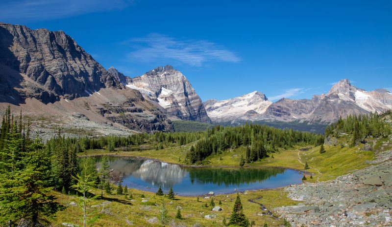 Volvemos a las Rockies 2019 - Blogs de Canada - Día 8: Un día en Yoho con Lake O'Hara, Opabin Prospect y Lake Oesa (10)