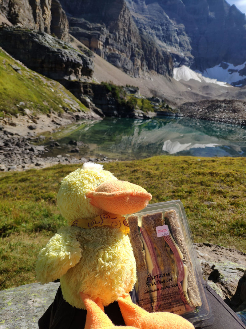 Volvemos a las Rockies 2019 - Blogs de Canada - Día 8: Un día en Yoho con Lake O'Hara, Opabin Prospect y Lake Oesa (12)