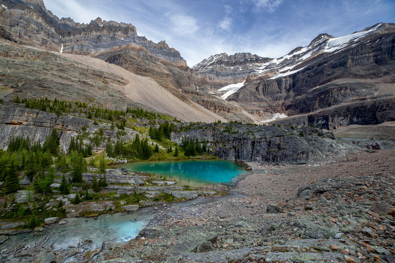 Volvemos a las Rockies 2019 - Blogs de Canada - Día 8: Un día en Yoho con Lake O'Hara, Opabin Prospect y Lake Oesa (16)
