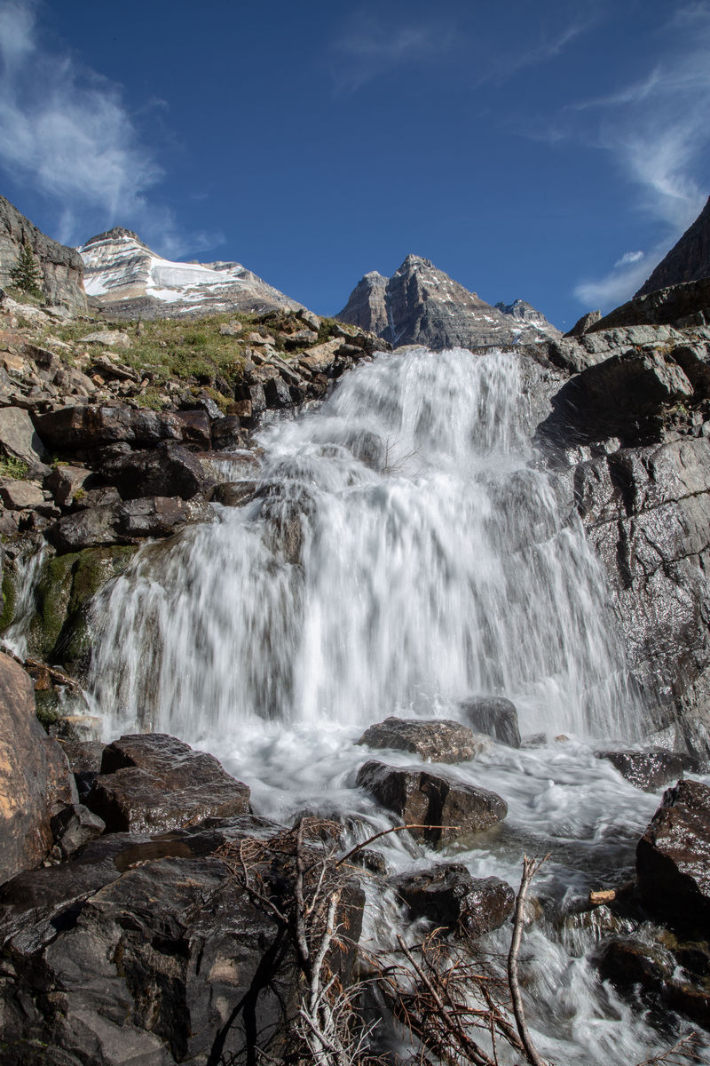 Volvemos a las Rockies 2019 - Blogs de Canada - Día 8: Un día en Yoho con Lake O'Hara, Opabin Prospect y Lake Oesa (19)