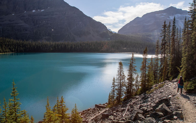 Volvemos a las Rockies 2019 - Blogs de Canada - Día 8: Un día en Yoho con Lake O'Hara, Opabin Prospect y Lake Oesa (20)