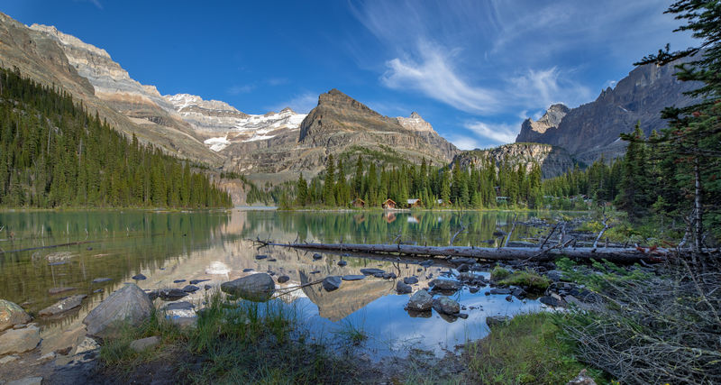Volvemos a las Rockies 2019 - Blogs de Canada - Día 8: Un día en Yoho con Lake O'Hara, Opabin Prospect y Lake Oesa (21)