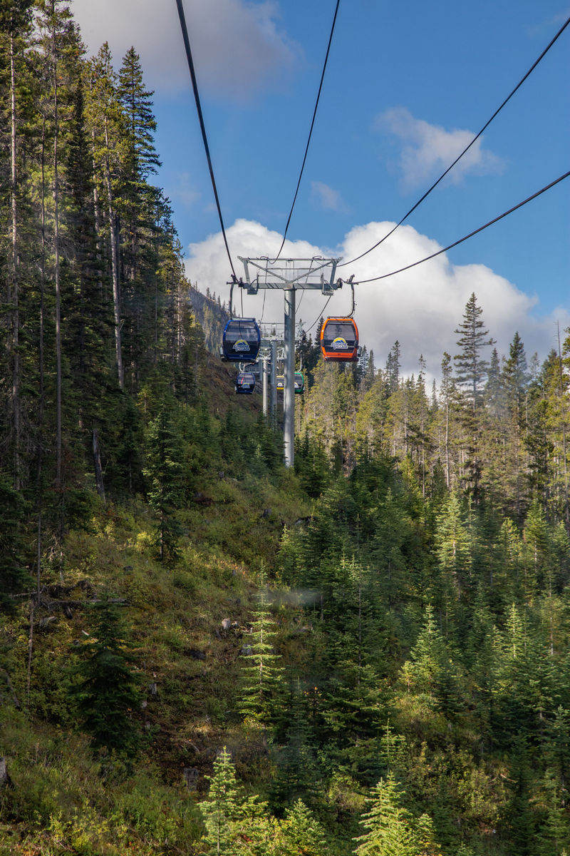 Volvemos a las Rockies 2019 - Blogs de Canada - Día 9: Sunshine Meadows y rumbo a Montana (2)