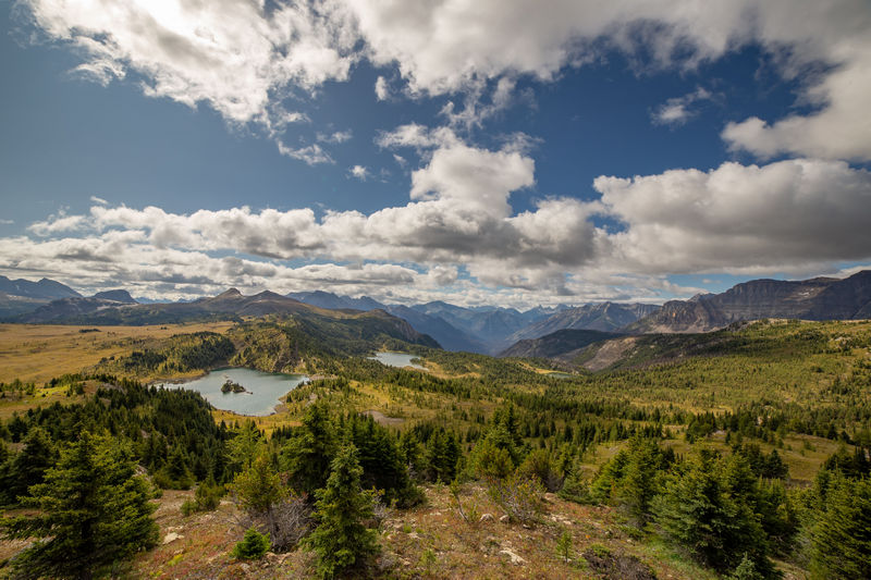 Volvemos a las Rockies 2019 - Blogs de Canada - Día 9: Sunshine Meadows y rumbo a Montana (3)