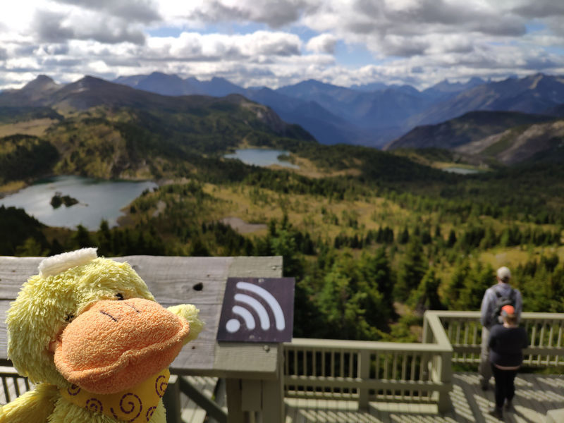 Volvemos a las Rockies 2019 - Blogs de Canada - Día 9: Sunshine Meadows y rumbo a Montana (4)