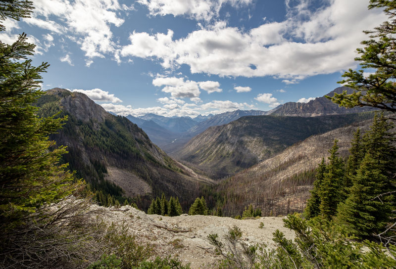 Volvemos a las Rockies 2019 - Blogs de Canada - Día 9: Sunshine Meadows y rumbo a Montana (6)