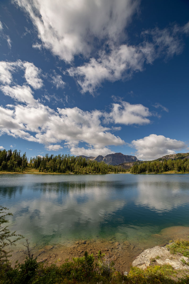 Volvemos a las Rockies 2019 - Blogs de Canada - Día 9: Sunshine Meadows y rumbo a Montana (7)